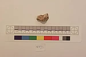 Stucco Fragment by Unknown Artist