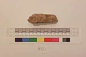 Stucco Fragment by Unknown Artist
