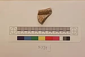 Stucco Fragment by Unknown Artist