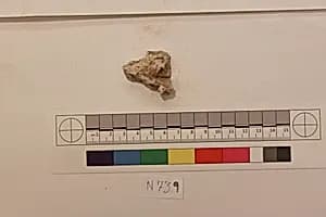 Stucco Fragment by Unknown Artist