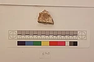 Stucco Fragment by Unknown Artist