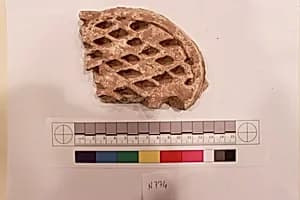 Stucco Fragment by Unknown Artist