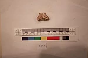 Stucco Fragment by Unknown Artist