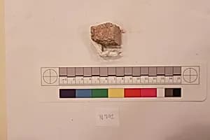 Stucco Fragment by Unknown Artist