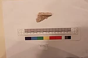 Stucco Fragment by Unknown Artist
