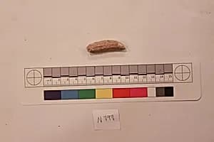 Stucco Fragment by Unknown Artist