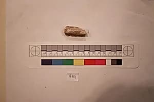 Stucco Fragment by Unknown Artist