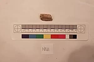 Stucco Fragment by Unknown Artist