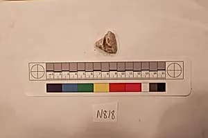 Stucco Fragment by Unknown Artist
