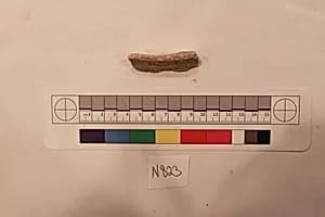 Stucco Fragment by Unknown Artist