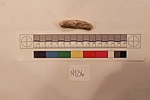 Stucco Fragment by Unknown Artist