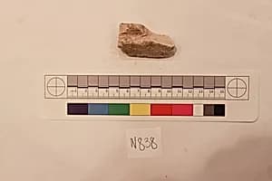 Stucco Fragment by Unknown Artist