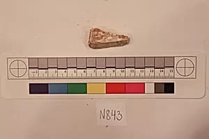 Stucco Fragment by Unknown Artist