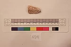Stucco Fragment by Unknown Artist