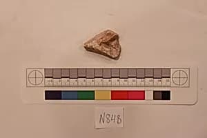 Stucco Fragment by Unknown Artist