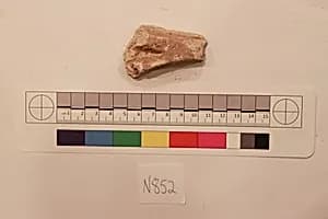 Stucco Fragment by Unknown Artist