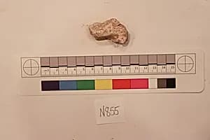 Stucco Fragment by Unknown Artist