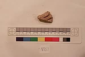 Stucco Fragment by Unknown Artist