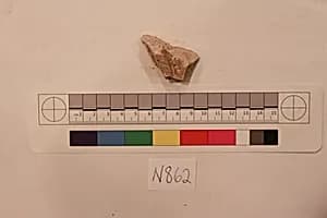 Stucco Fragment by Unknown Artist