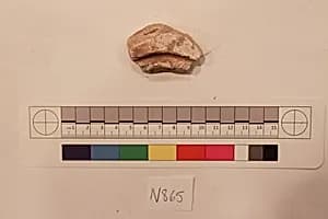 Stucco Fragment by Unknown Artist