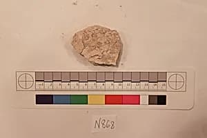 Stucco Fragment by Unknown Artist
