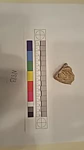 Stucco Fragment by Unknown Artist