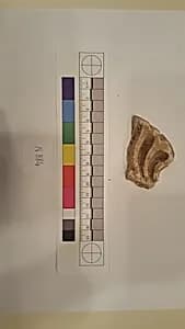 Stucco Fragment by Unknown Artist