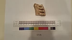 Stucco Fragment by Unknown Artist