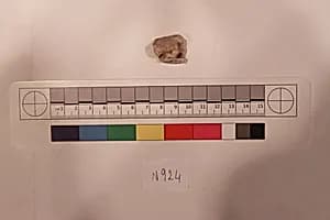 Stucco Fragment by Unknown Artist