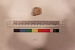 Stucco Fragment by Unknown Artist
