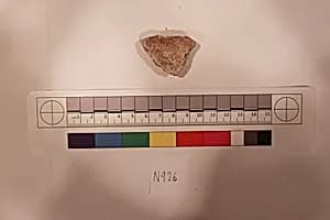 Stucco Fragment by Unknown Artist