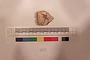 Stucco Fragment by Unknown Artist