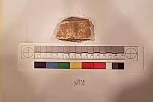 Stucco Fragment by Unknown Artist