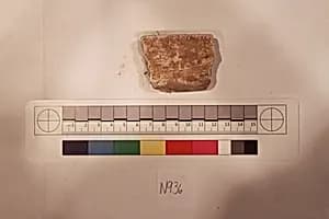 Stucco Fragment by Unknown Artist