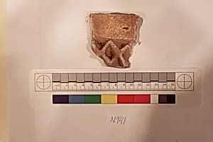 Stucco Fragment by Unknown Artist