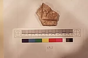 Stucco Fragment by Unknown Artist