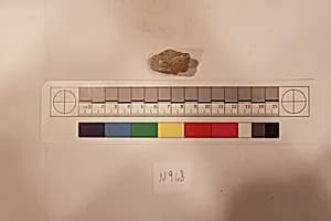 Stucco Fragment by Unknown Artist