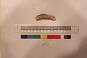Stucco Fragment by Unknown Artist