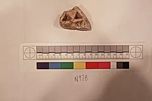 Stucco Fragment by Unknown Artist