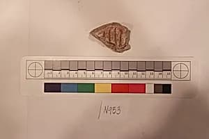 Stucco Fragment by Unknown Artist