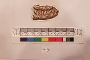 Stucco Fragment by Unknown Artist