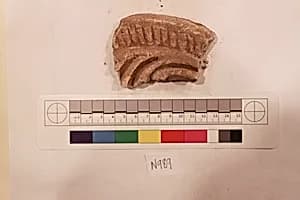 Stucco Fragment by Unknown Artist