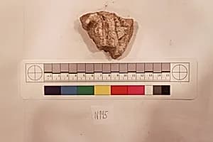 Stucco Fragment by Unknown Artist