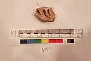 Stucco Fragment by Unknown Artist