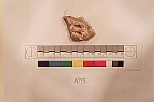 Stucco Fragment by Unknown Artist