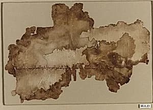 Textile Fragment by Unknown Artist