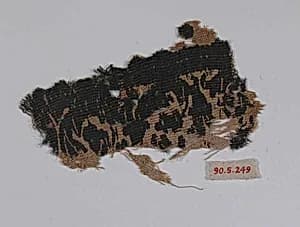 Textile Fragment by Unknown Artist