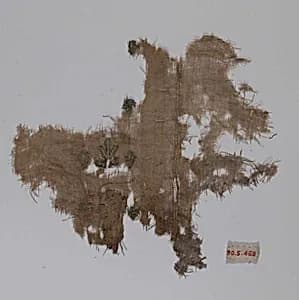 Textile Fragment by Unknown Artist