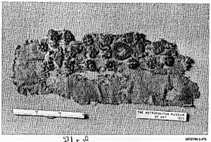 Textile Fragment by Unknown Artist