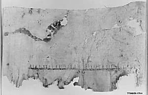 Textile Fragment by Unknown Artist